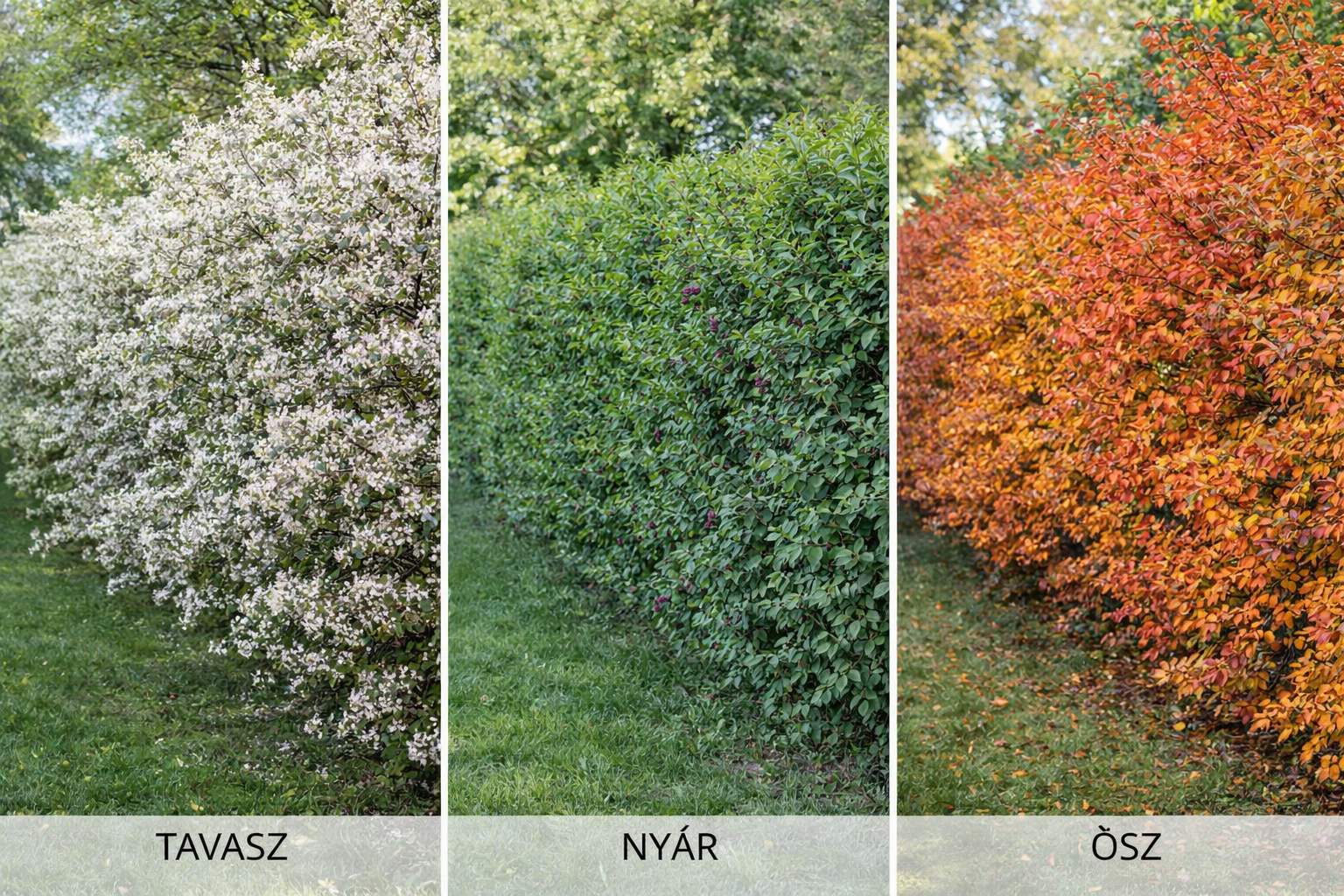 ChatGPT Image 2026. jan. 11. 12_55_12